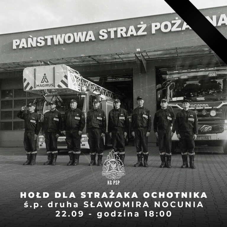 550113907 1107472508237742 2921276502408198909 n