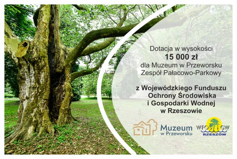 550516193 1364730255660574 688724000067789826 n