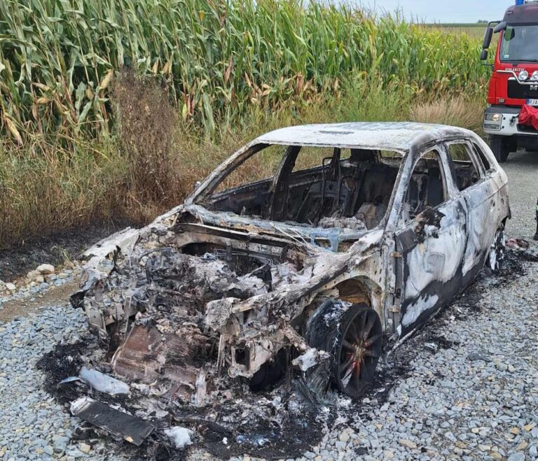 552370547 1195302369300644 5499233233914368026 n