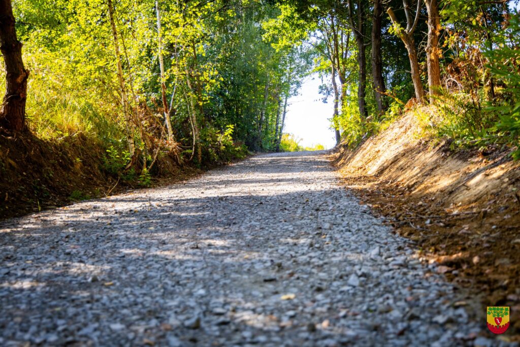 552507463 122189958680310265 6798483565204498032 n