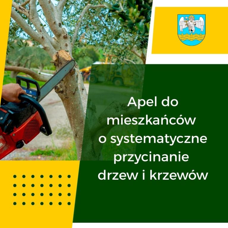 553617793 1182431033933064 301895514433628245 n