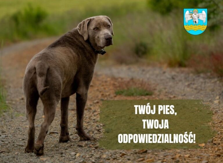TWÓJ PIES, TWOJA ODPOWIEDZIALNOŚĆ 1