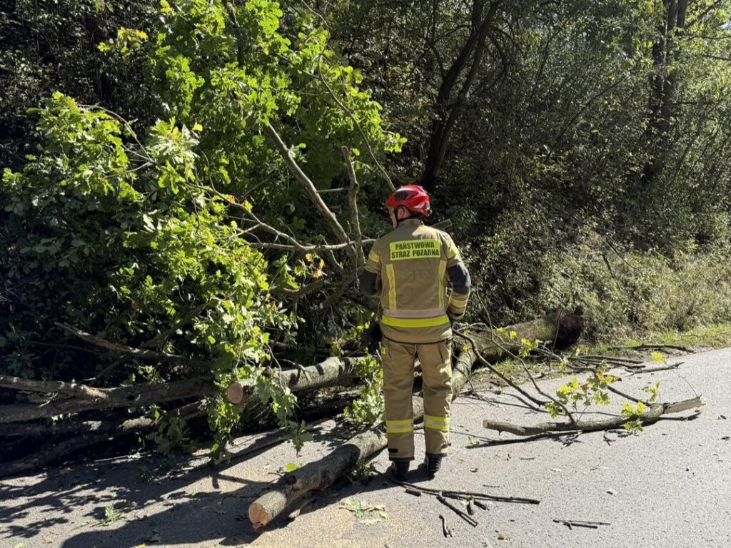 555047883 1104315298522308 8956270193628235279 n2