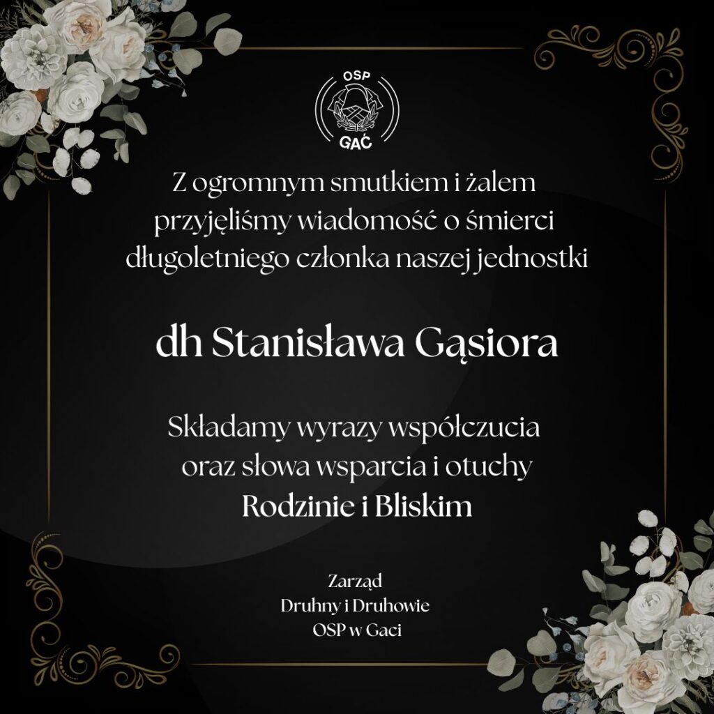 555167165 1223378149831668 3740631998564248022 n