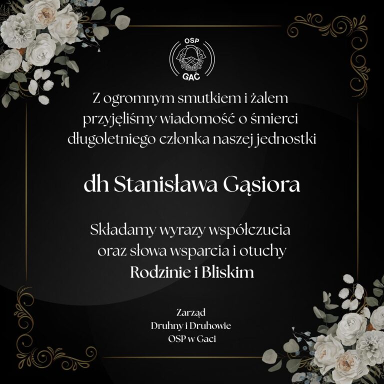 555167165 1223378149831668 3740631998564248022 n