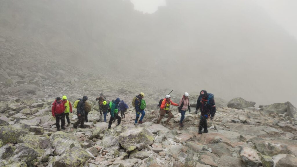 556057922 1239887001274268 4237312531303669186 n