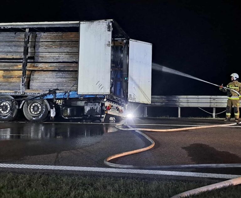 556953497 1200473878783493 386076330132728676 n