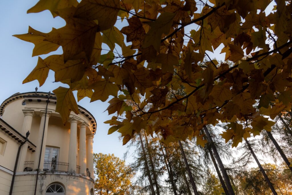 557233621 1334939681669272 5343786841127441227 n