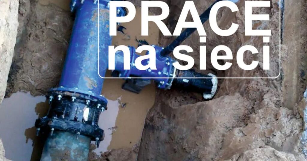 557270208 1186129073563260 1881546383045895855 n