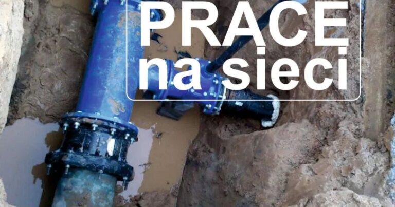 557270208 1186129073563260 1881546383045895855 n