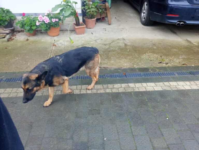 558097557 1253475193489980 1238251261785941397 n