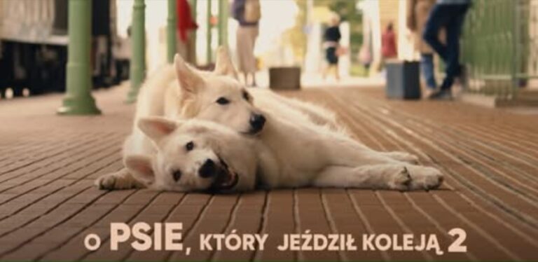 o psie 2