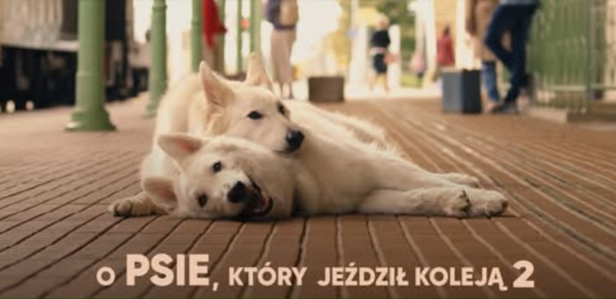 o psie 2