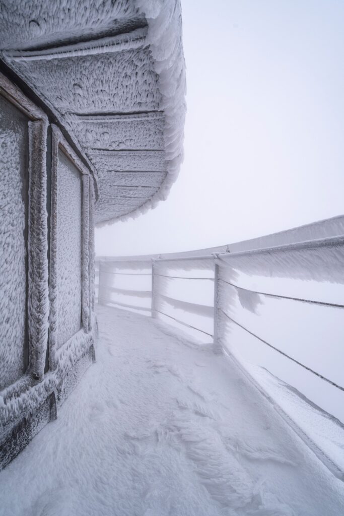 556492209 1331730028998698 8842351735310999764 n