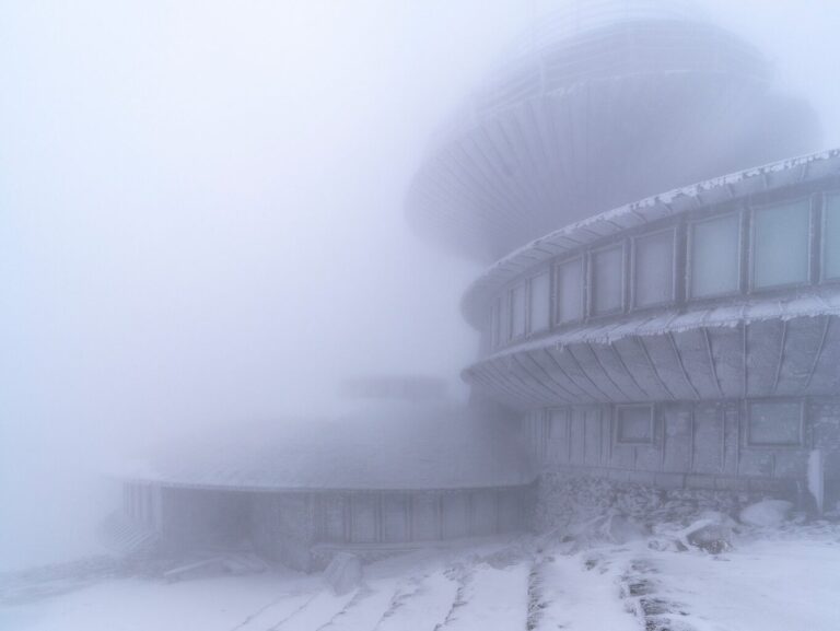 556753932 1331730048998696 1468955017504901651 n