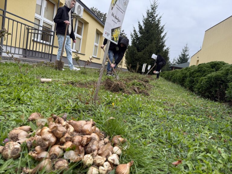 557071844 1299356665314914 765501616217196566 n