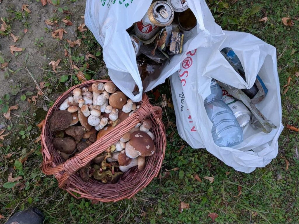 557352313 1102072125381591 3733532591670592412 n1