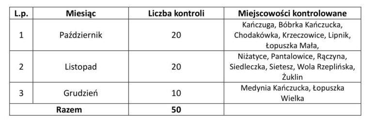 557414248 1259204646250368 1265436338955937886 n