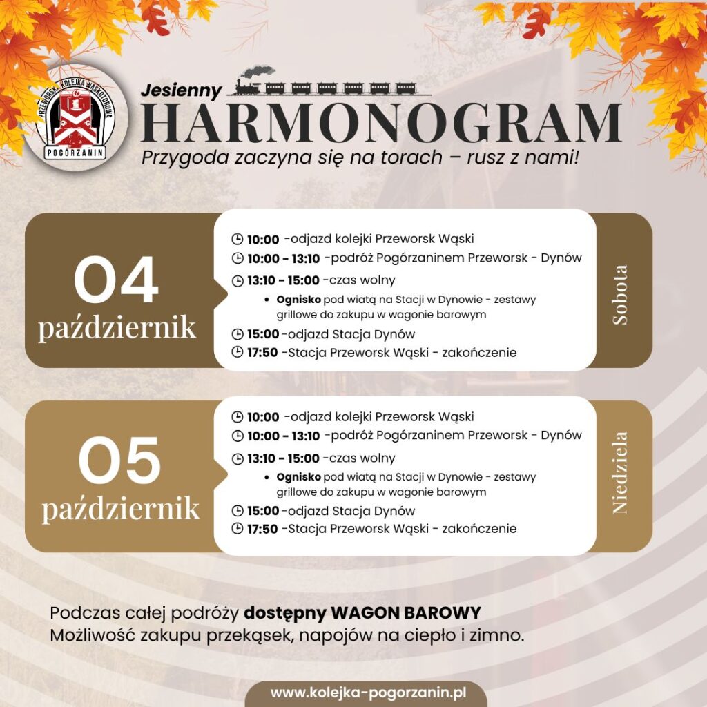 557457638 1466150215055094 4394280947004938091 n