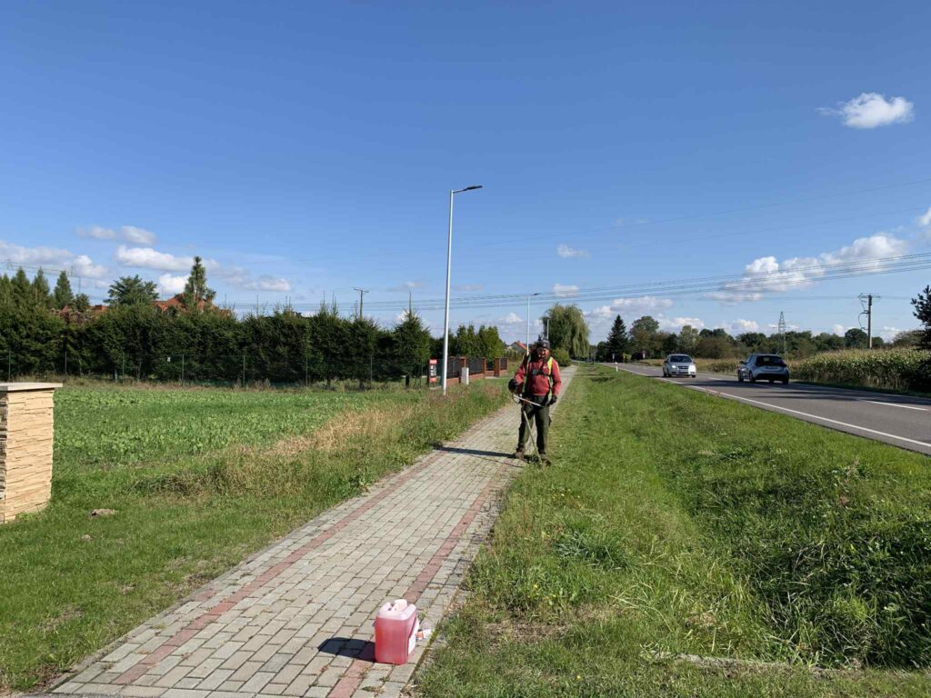 Tryńcza. CIS nie zwalnia tempa. Przebierali ziemniaki, remontowali salkę i kosili pobocza 1 557498106 122261596766219523 6083539825457240095 n