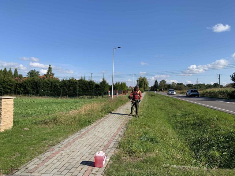 557498106 122261596766219523 6083539825457240095 n