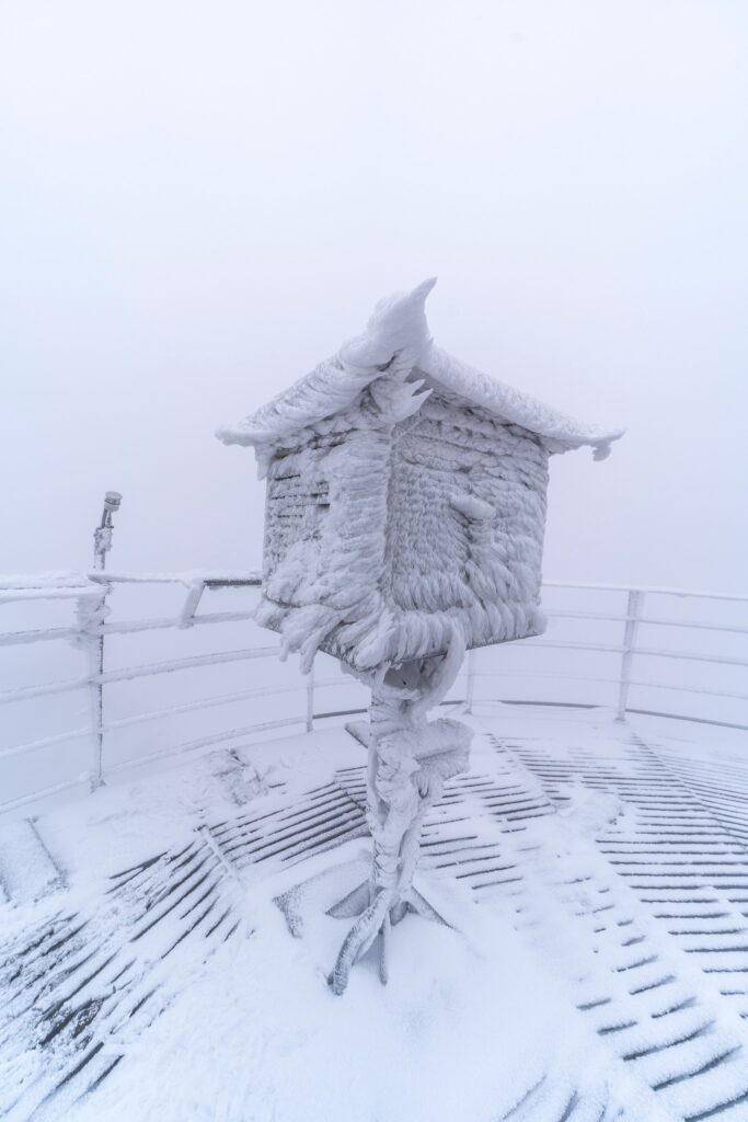 557554594 1331730165665351 1752728218925770935 n