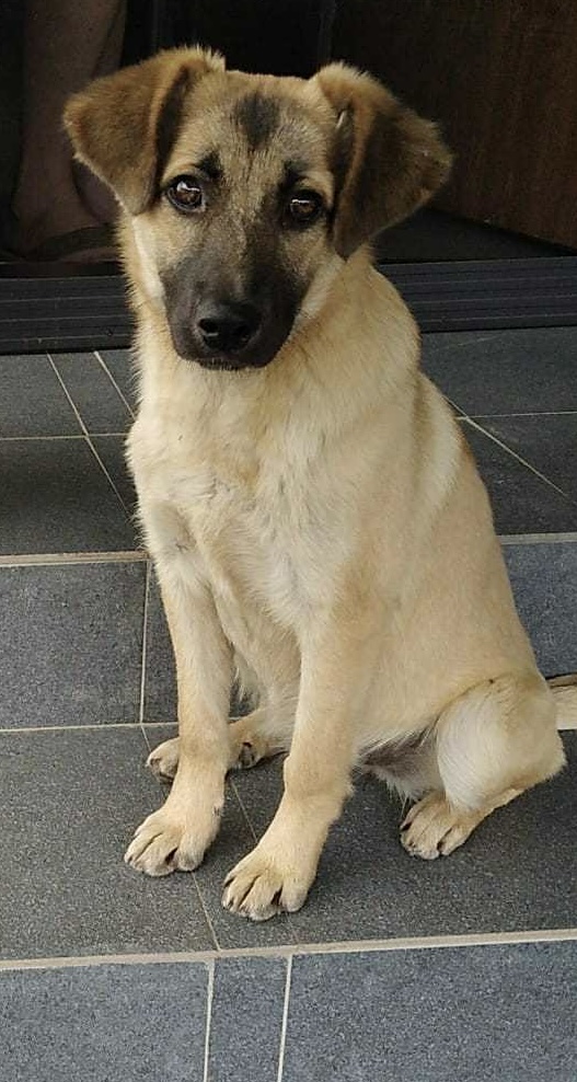 557619746 122190820352310265 5285631495782999798 n