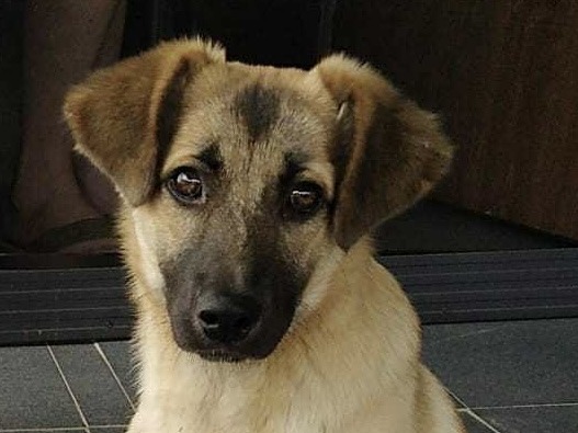 557619746 122190820352310265 5285631495782999798 n1