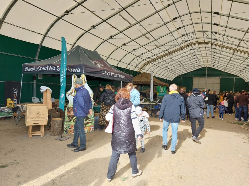 557643004 1246081067565222 8355263491821378896 n