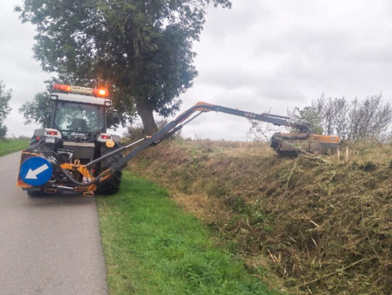 557703924 823738950344629 7935666891801280839 n