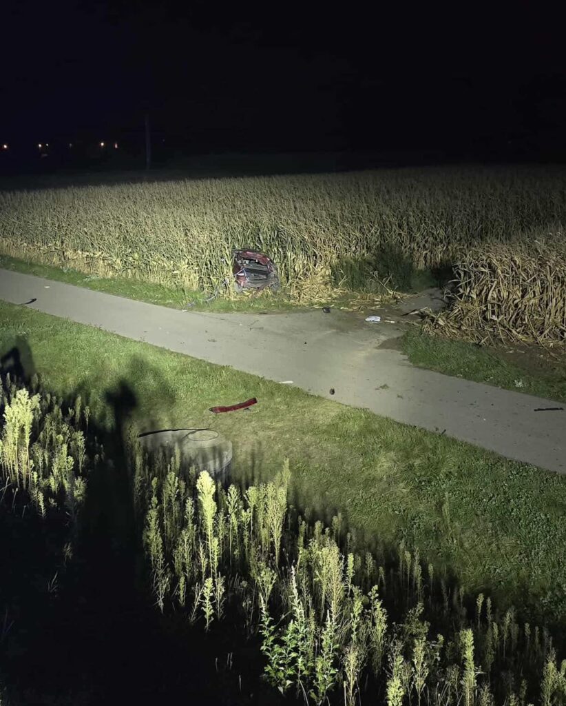 557717305 1112423627711475 2431888869779159256 n