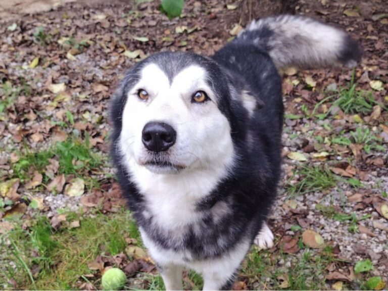 557876716 1220844543416992 3532533088833712763 n1