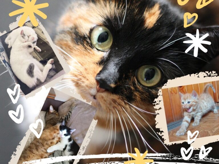 558286049 804409395866340 1677401338573864943 n1