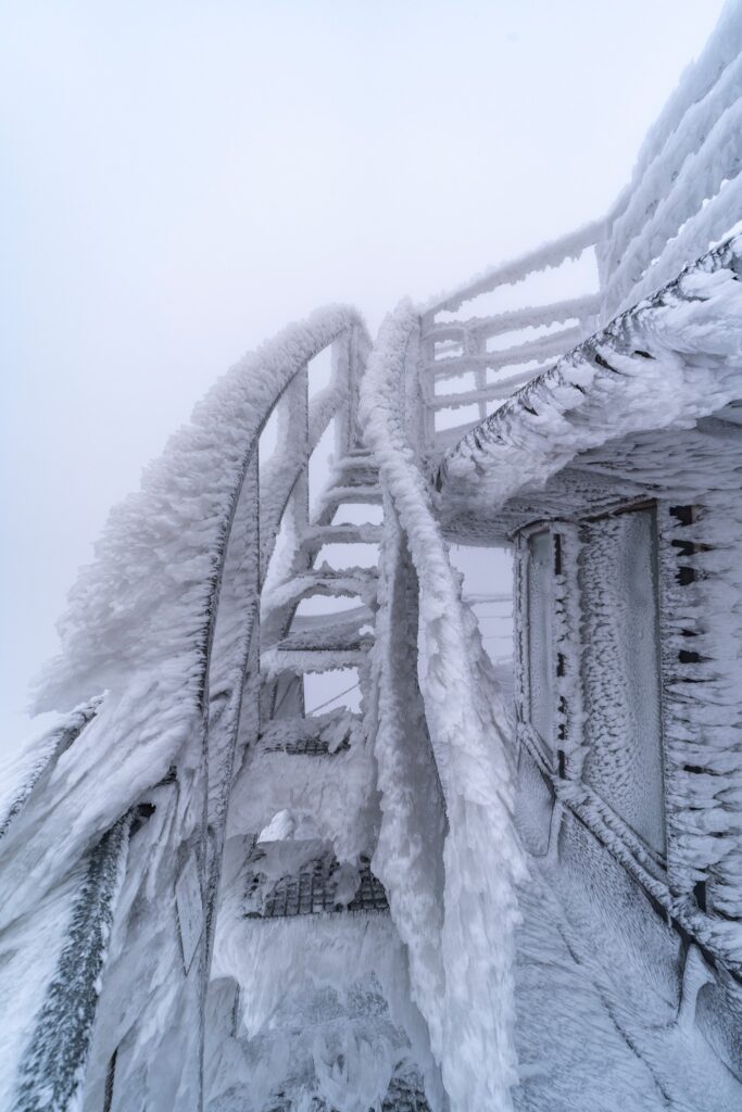 558491844 1331730052332029 2421002827950790849 n