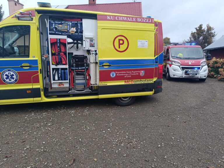 558768105 1276604367843425 2716853256493924882 n