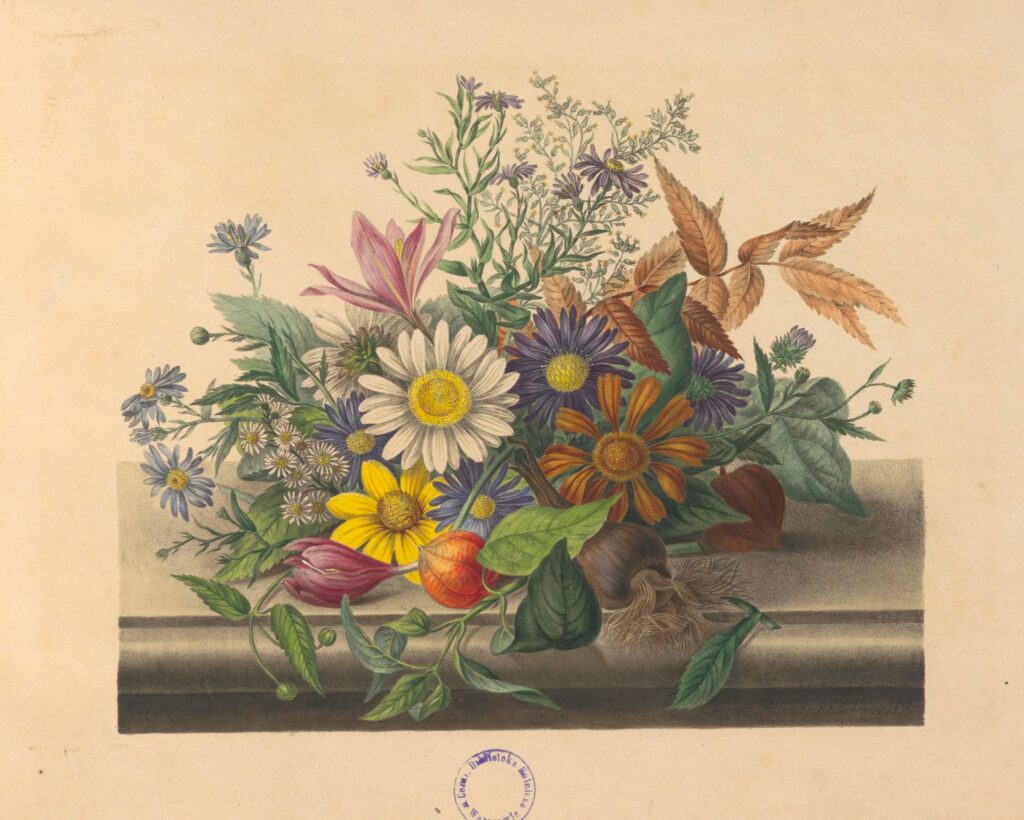 558858200 1342224147607492 5644457700478971393 n