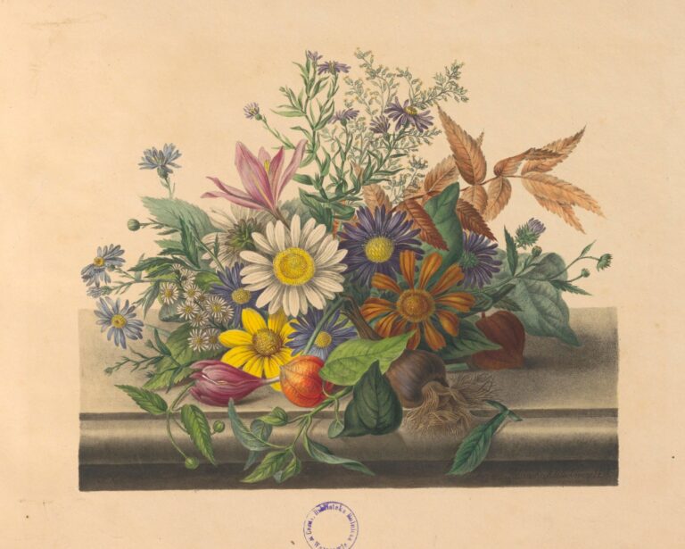 558858200 1342224147607492 5644457700478971393 n