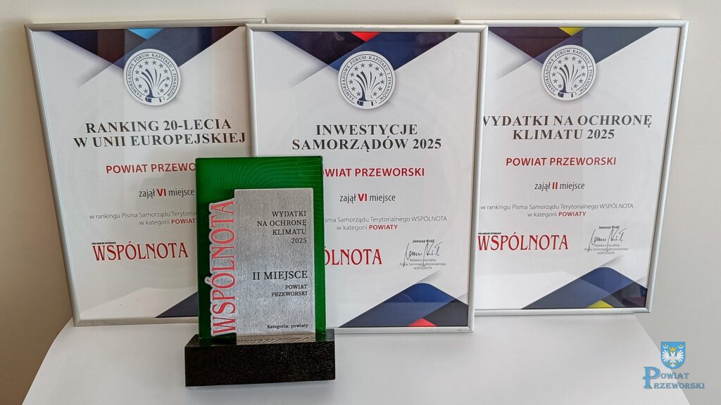 558977179 1125441509790304 4944381798483278165 N