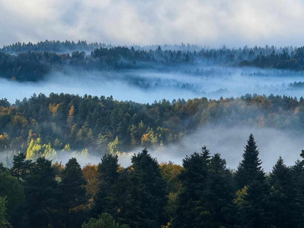 559179905 1260479259452286 5114920754072651630 n