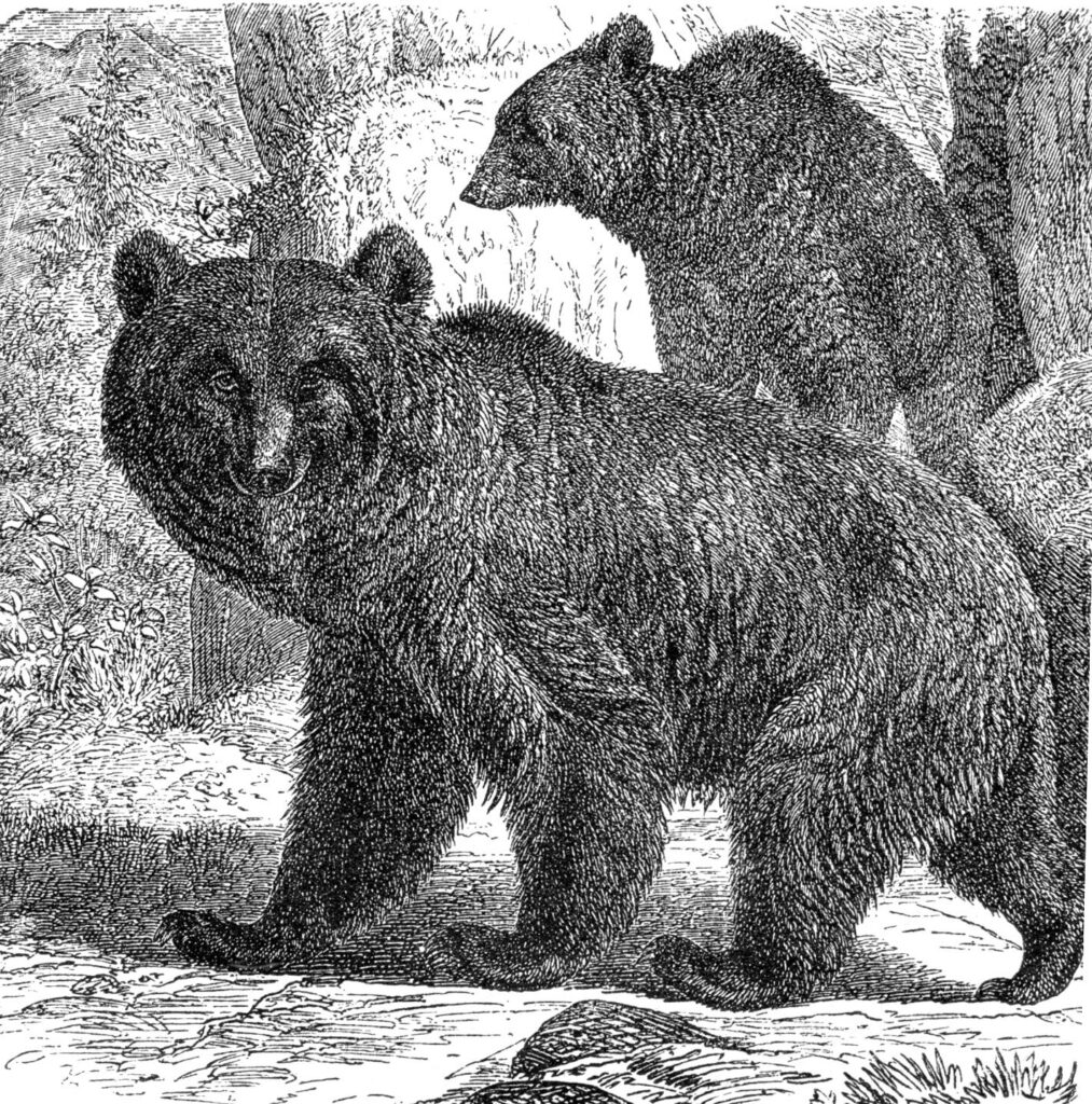 559241654 1233321468824732 4898617003160016297 n