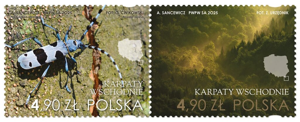 559279167 1236022931896597 1880981493156453979 N