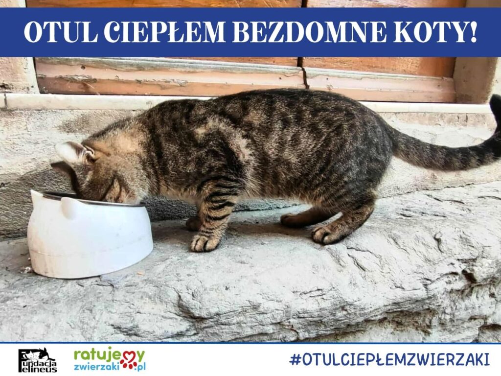 560169467 1215072993978298 6977946920289216140 n