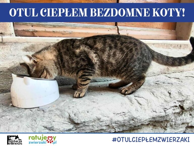 560169467 1215072993978298 6977946920289216140 n