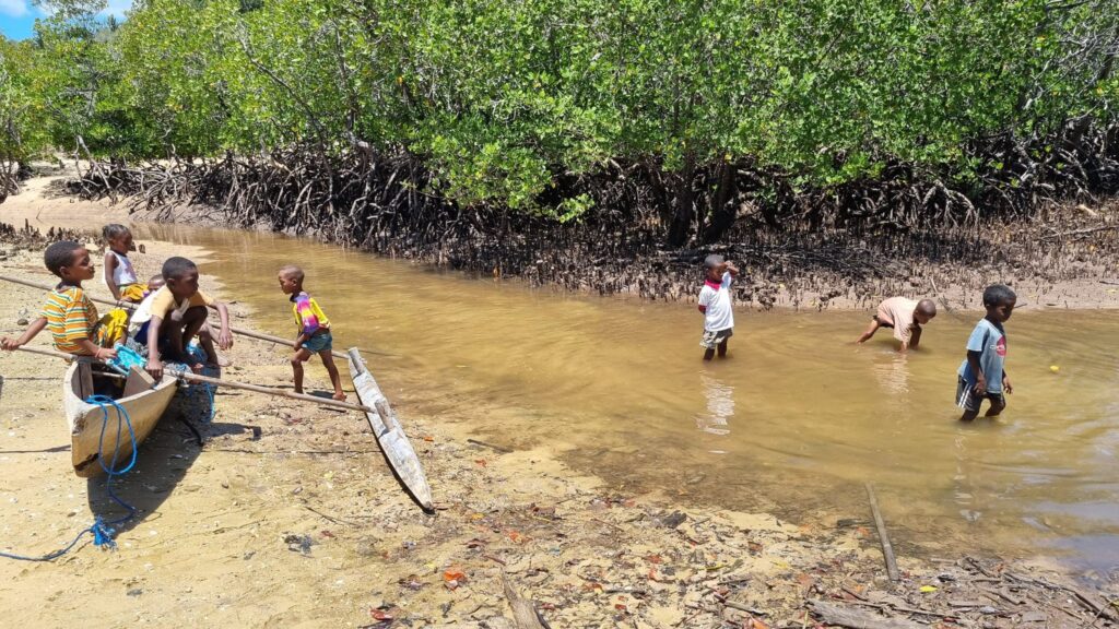 560442124 31686400401005695 8053684532677551273 N