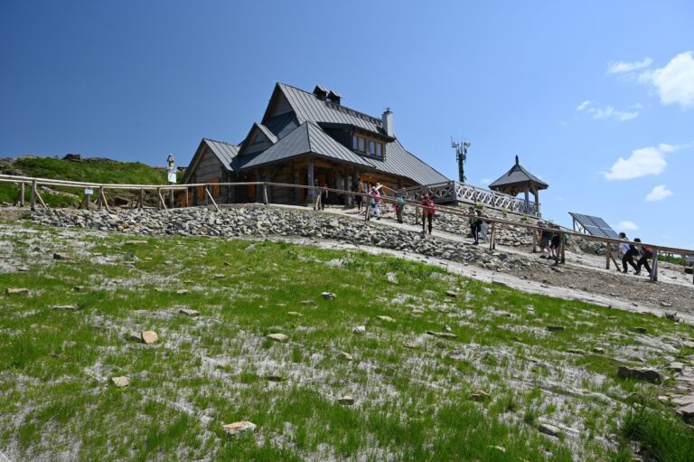 561082405 1235364631962427 4861759701265715872 n