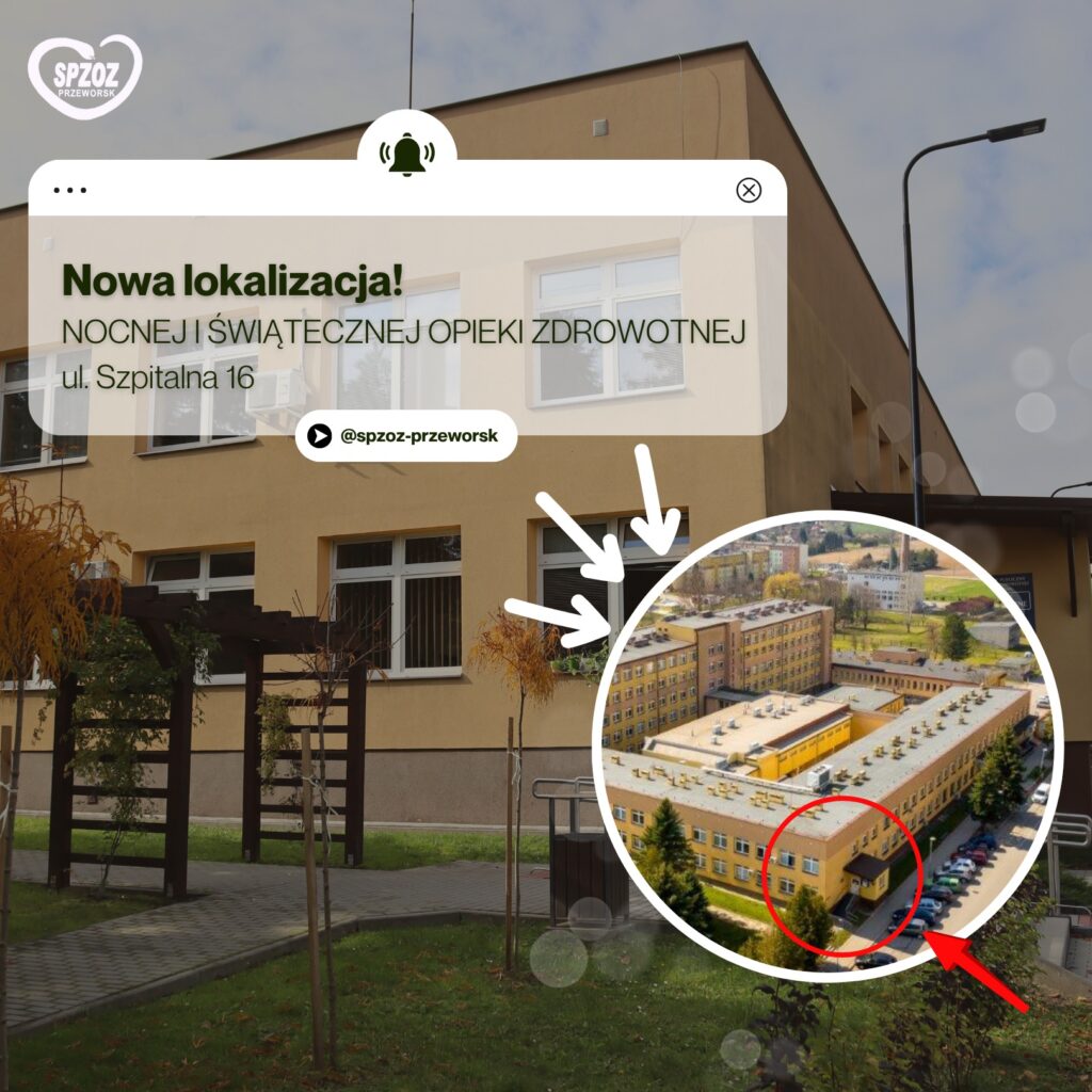 561128904 1257652549497713 3552696897213142367 n