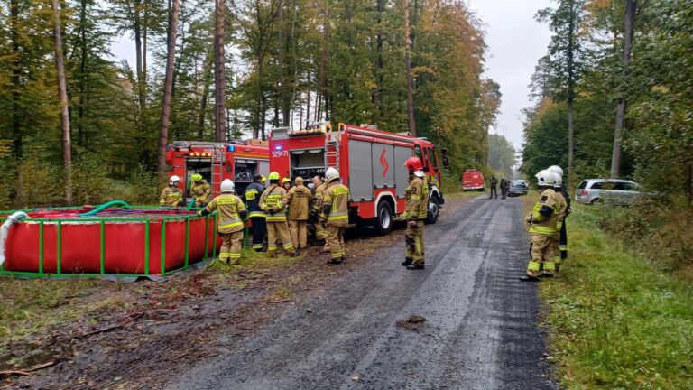 561337208 2372375206536852 6146161933562004234 n