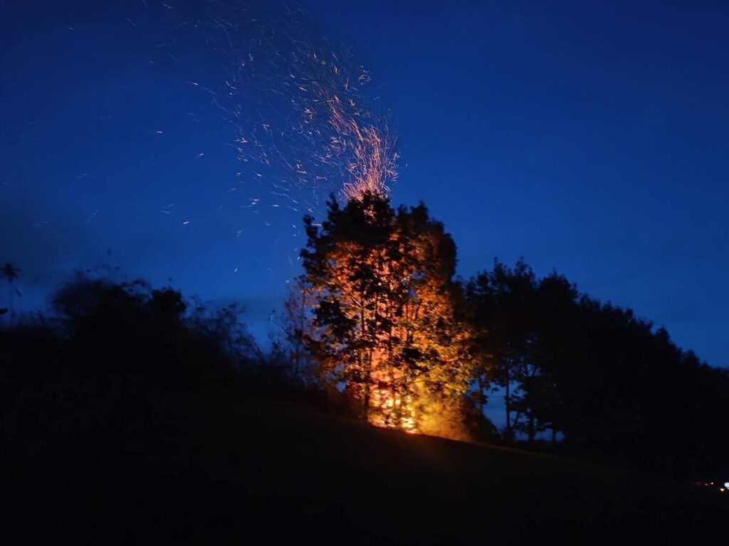 561345841 1223103226520753 2643319575163167349 n1