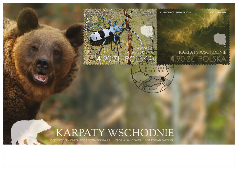 561397406 1236022871896603 5666864029670203800 n