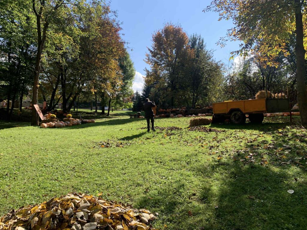 562079708 122263778114219523 1036178714222213289 n